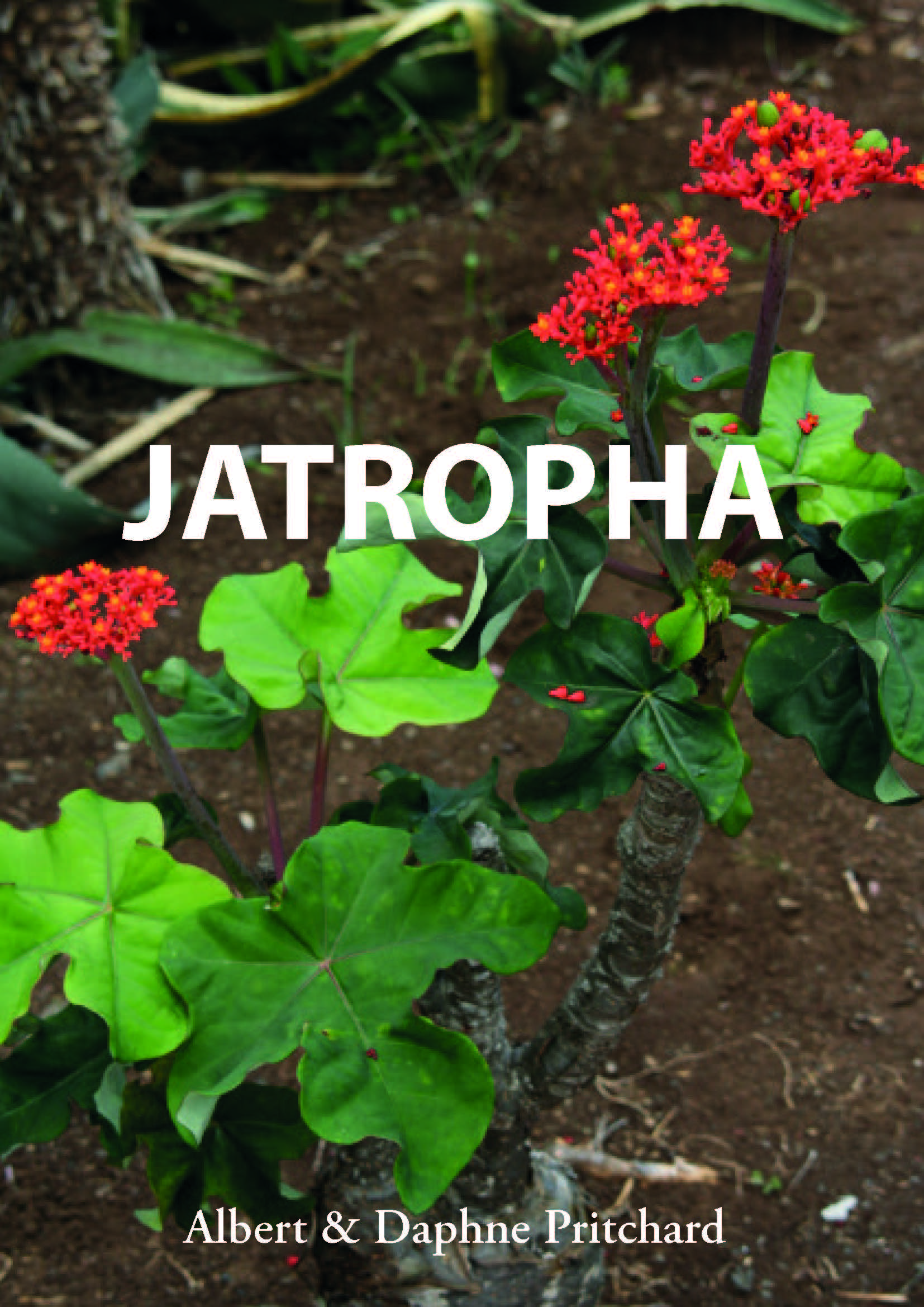 Jatropha Book cover image